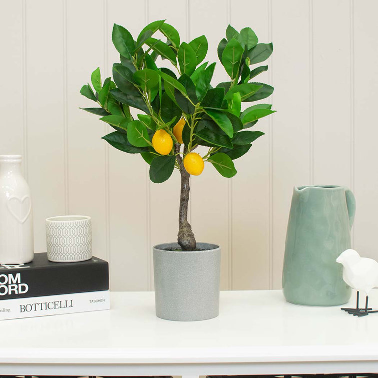 Tree Locate 45cm Faux Lemon Tree in Pot Wayfair.co.uk
